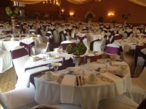 Majestic Oaks Golf Club Wedding Reception - Andover, MN 4248