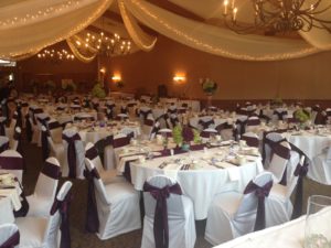 Majestic Oaks Golf Club Wedding Reception - Andover, MN 4252