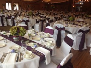 Majestic Oaks Golf Club Wedding Reception - Andover, MN 4257